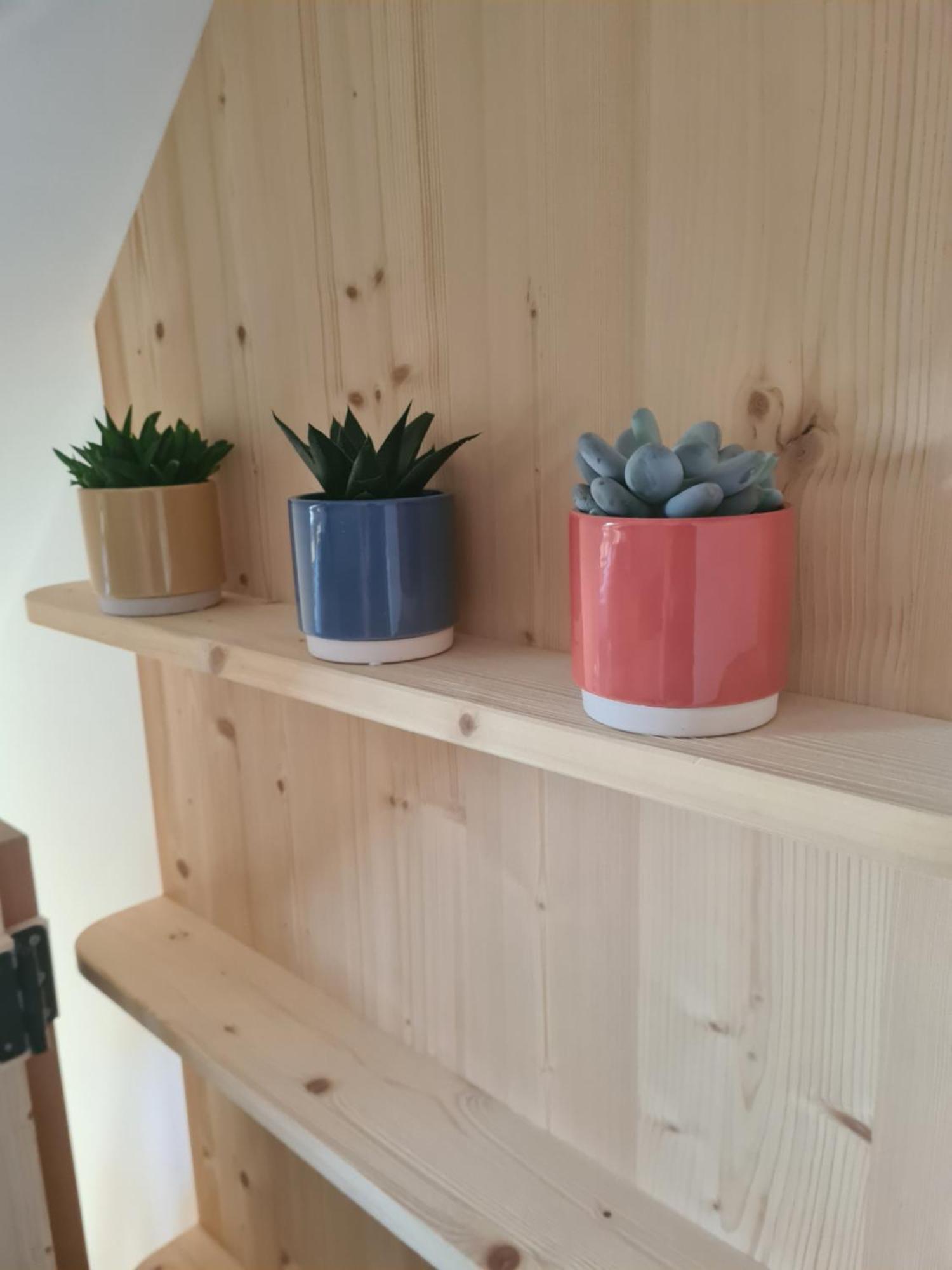 Eco Boutique Hotel Ams Beagle Bled Esterno foto