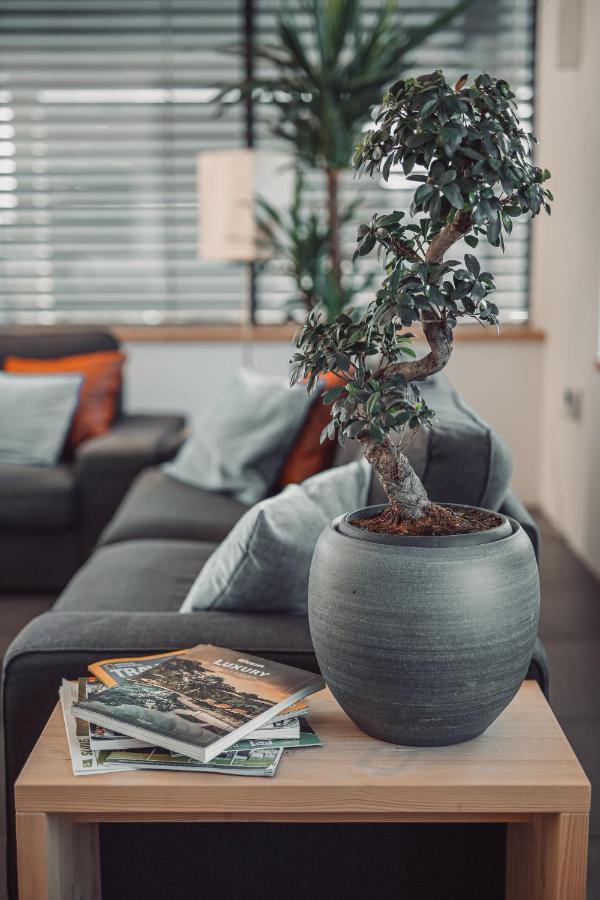 Eco Boutique Hotel Ams Beagle Bled Esterno foto