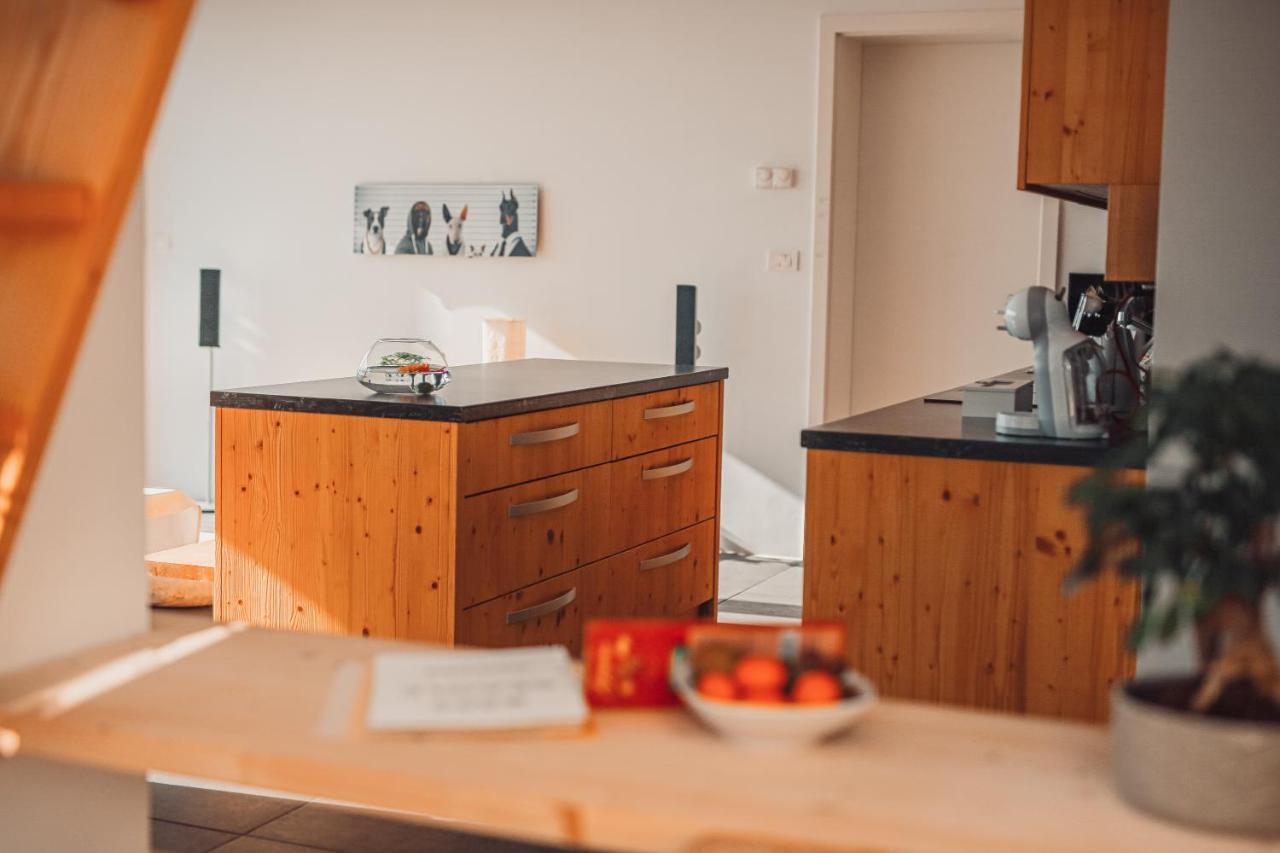 Eco Boutique Hotel Ams Beagle Bled Esterno foto